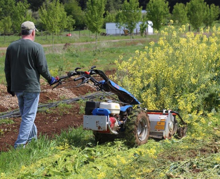 BCS Flail Mower