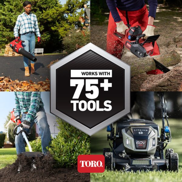 Toro 60V MAX* 21 in. (53 cm) Stripe™ Self-Propelled Mower - 6.0Ah Battery/Charger Included (21621)