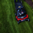 Toro 30 in. (76cm) TimeMaster® w/Personal Pace® Gas Lawn Mower (21220)